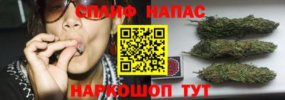 крисы Малоярославец