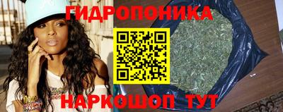 крисы Малоярославец