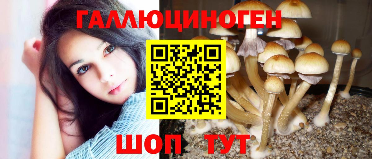 Галлюциногенные грибы прущие грибы Тавда